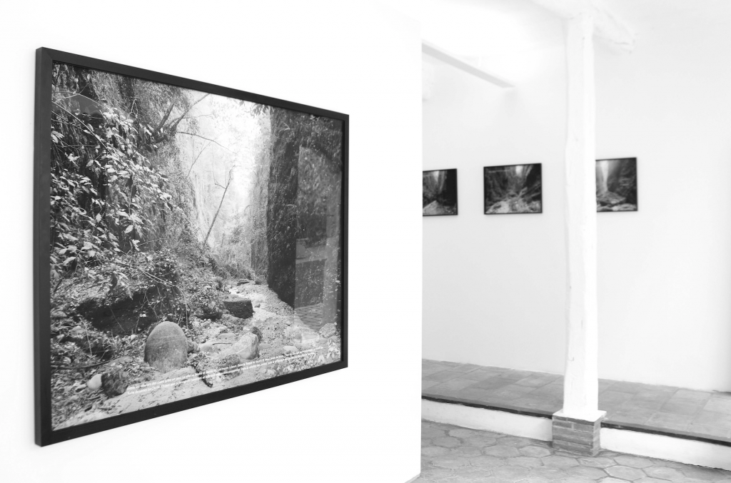 Exposition A deux pas des chiens (vallons de ville), Favret & Manez avec Sophie Braganti, du 05 juillet au 28 septembre 2019, galerie Sintitulo, Mougins