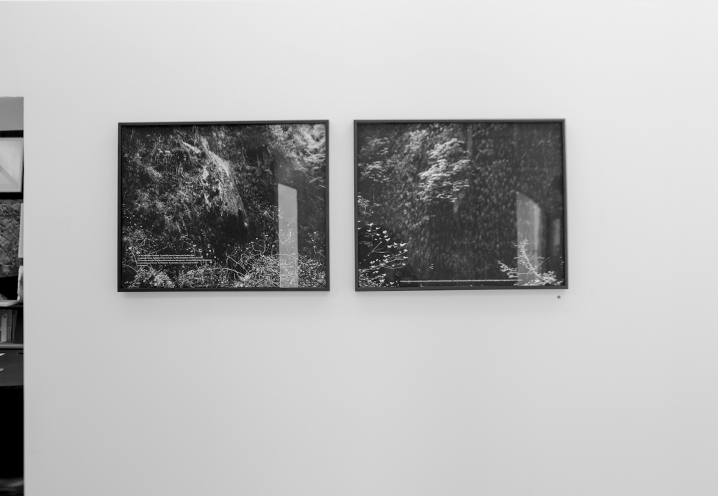 Exposition A deux pas des chiens (vallons de ville), Favret & Manez avec Sophie Braganti, du 05 juillet au 28 septembre 2019, galerie Sintitulo, Mougins