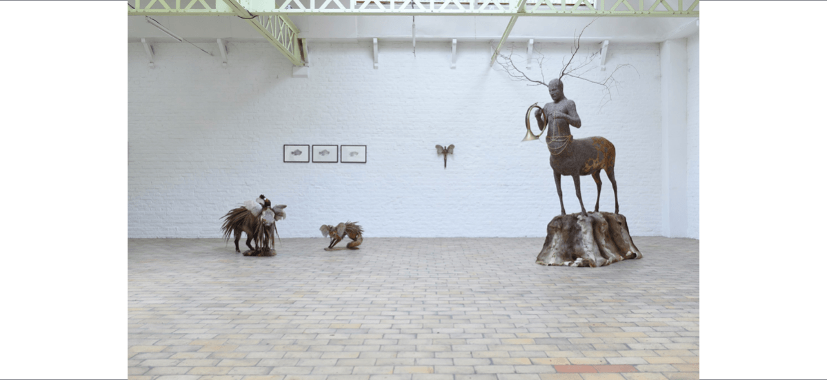 Julien Salaud, Histoires animales