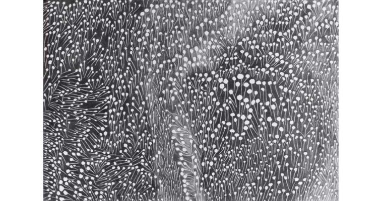 CHRISTINE CROZAT – ENTRE LES MONDES – 16/10 AU 23/11 – GALERIE FRANÇOISE BESSON, LYON