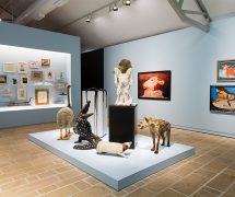 Cabinets de curiosités : l’esprit de collectionneurs et de lieux de collections