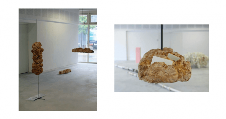 Avez-vous déjà vu ? Capsule Galerie Rennes