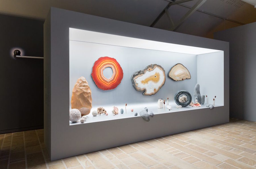 Vue de l'exposition "Cabinets de curiosités", Photo N. Savale © FHEL, 2019