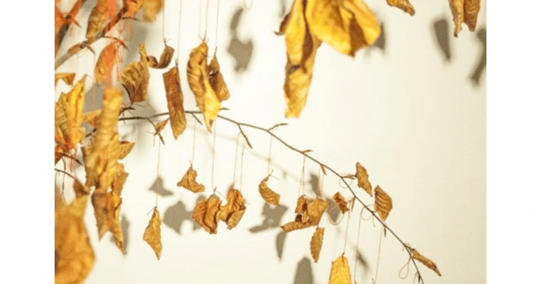 Jérôme PIERRE « Les feuilles de l’être »