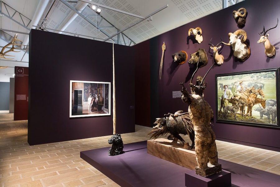 Collection du Musée de la Chasse et de la Nature (Paris), Vue de l'exposition "Cabinets de curiosités", Photo N. Savale © FHEL, 2019