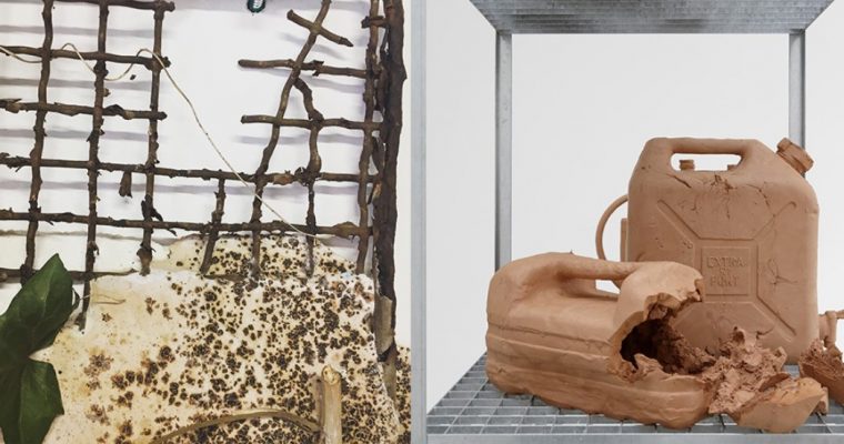 JULIA GAULT & MORGANE PORCHERON – NATURE CONTRE NATURE – 03 AU 23/11 – LA PLUS PETITE GALERIE DU MONDE (OU PRESQUE), ROUBAIX