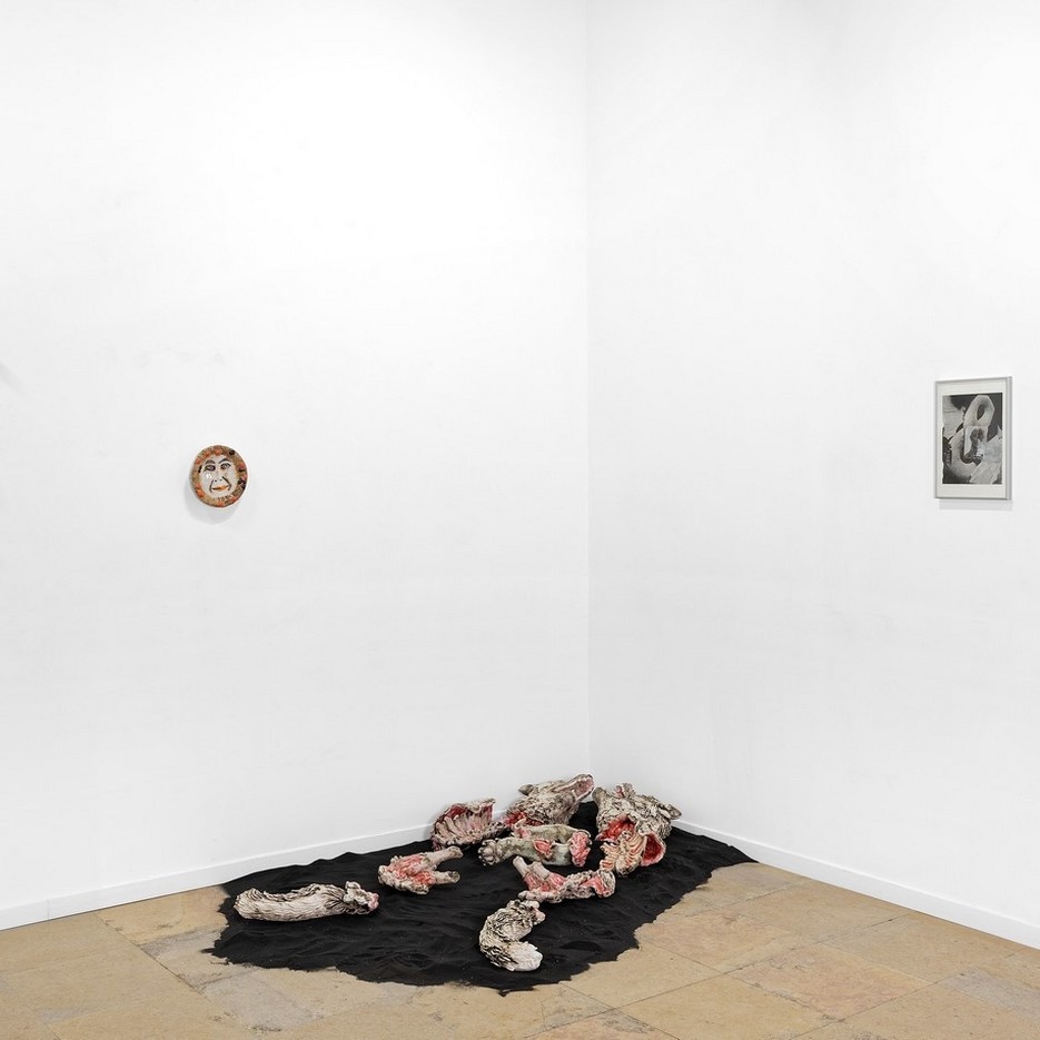 Vue de l'exposition Eloge de la curiosité, Galerie Henri Chartier Lyon. Photo Blaise Adilon