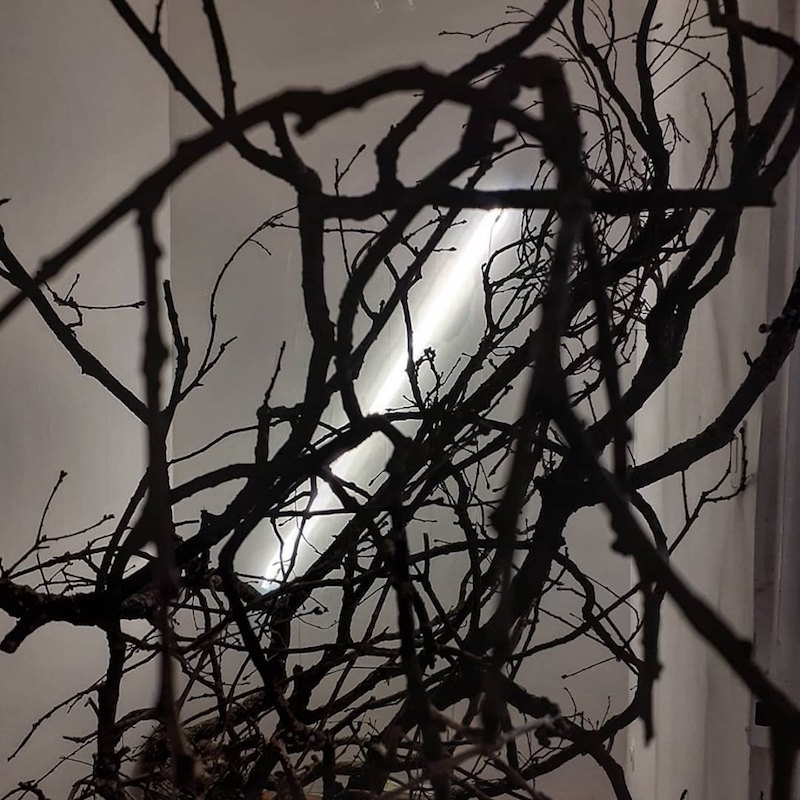 François Réau - Panta Rhei, 2019 Création in situ, branchages et néon