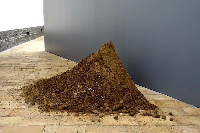 Julia Gault Au bord de - 2016 Terre vivante 70 x 230 x 160 cm Pièce unique Photo Caroline Robe
