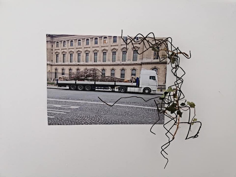 Morgane Porcheron, Nouveaux paysages - 2019 Photographies, matériaux divers 49 x 38 cm Photo Florence Traullé