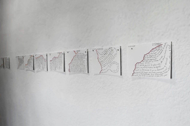 Victoria Nichitici - Back on track Carnet de bord 2017, 2018 et 2019 graphite sur papier