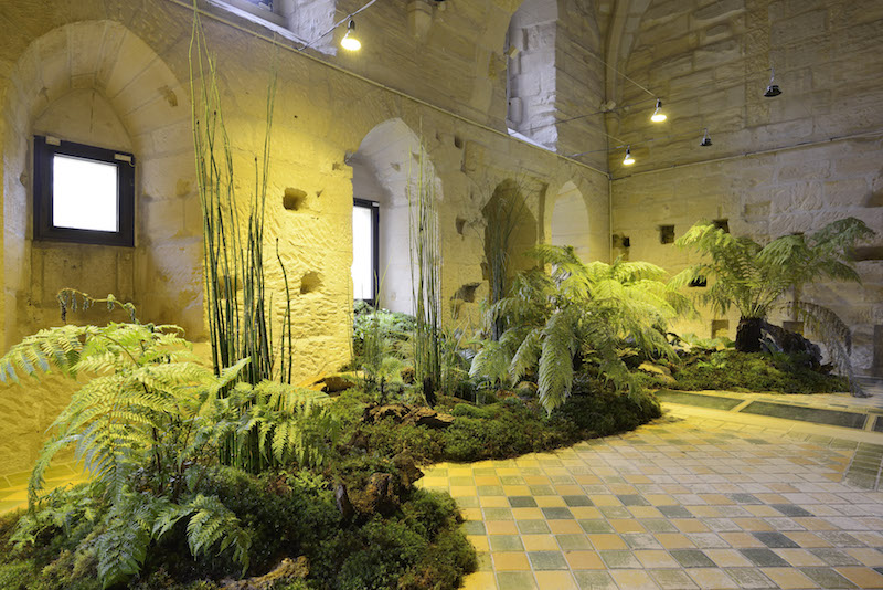 Cécile Beau, La Fontaine hepathiques Végétaux panchroniques, lampes à sodium et UVB, terrariums, grillons, 2018. Crédit photo Catherine Brossais