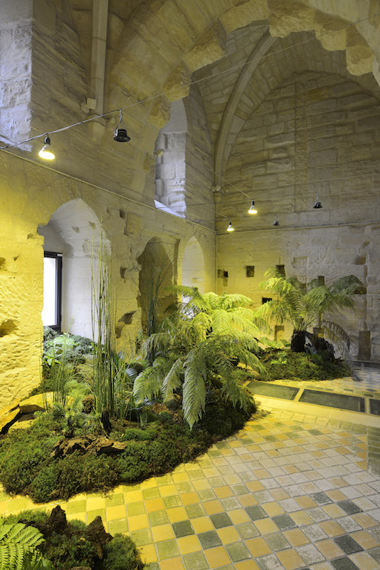 Cécile Beau, La Fontaine hepathiques Végétaux panchroniques, lampes à sodium et UVB, terrariums, grillons, 2018. Crédit photo Catherine Brossais