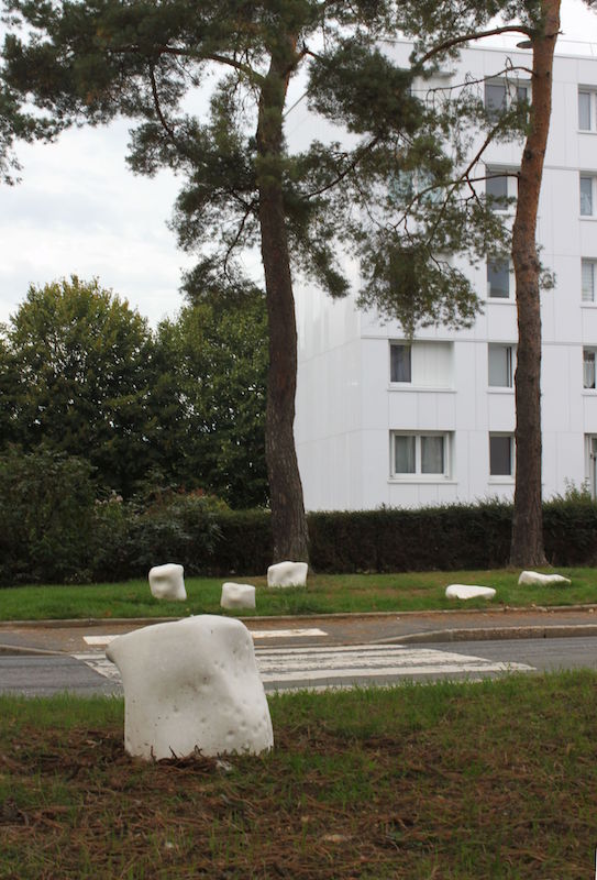 Le Rhizome, Christine Maigne, Plateau des provinces, Bihorel, 2020
