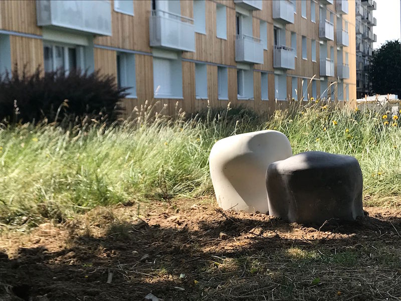 Le Rhizome, Christine Maigne, Plateau des provinces, Bihorel, 2020