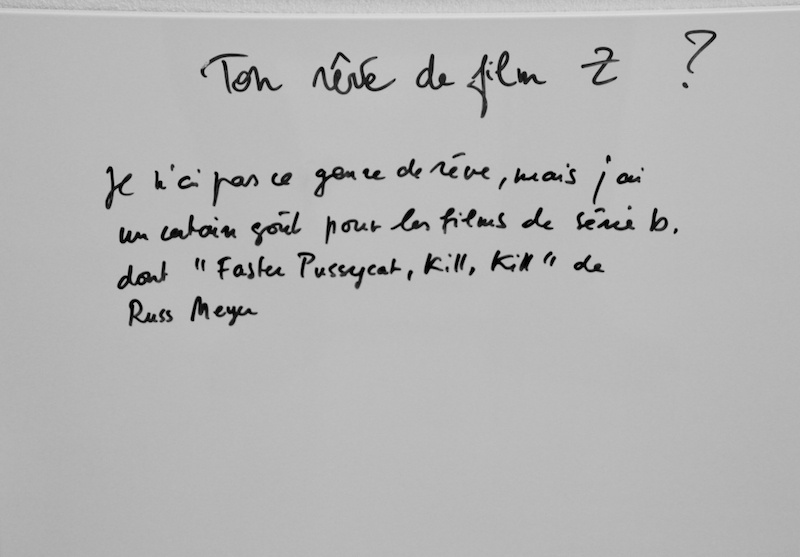 Delphine Sandoz, Ton rêve de film Z ?