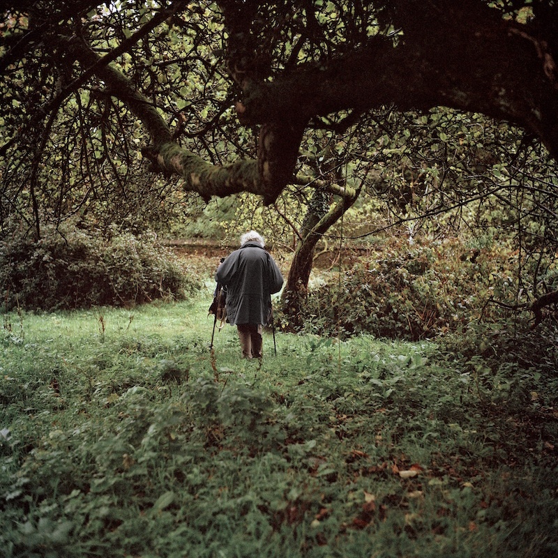 Sarah Carp, Old Orchard, 2011