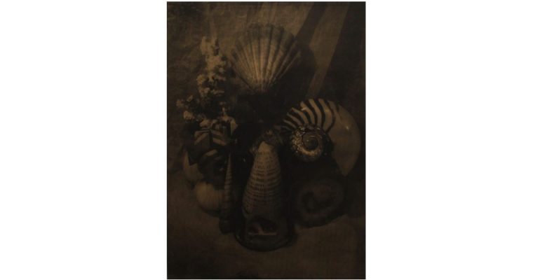 EDOUARD WOLTON – ULTIMA THULÉ – 12/03 AU 25/04 – GALERIE LES FILLES DU CALVAIRE, PARIS