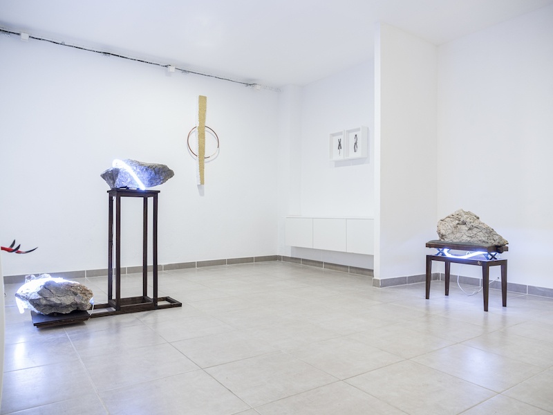 Vue d'exposition PULSE, de Léo Fourdrinier Galerie l'Axolotl Toulon jusqu'au 02 mai 2020