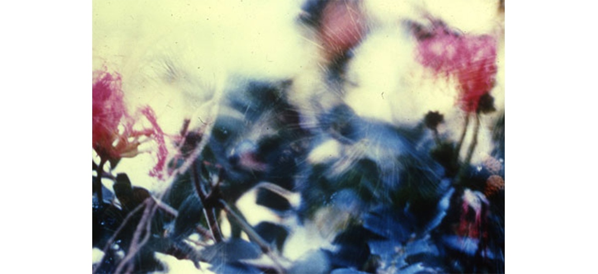 GAYLE CHONG KWAN, KEW / PAMPLEMOUSSE