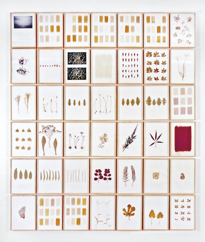herman de vries, journal from a visit to leros and patmos, 1996-1998. Collection Frac Bretagne © herman de vries. Crédit photographique Hervé Beurel.