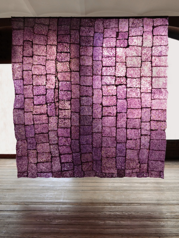 Léa Barbazanges – Paroi d’algues - 2014 - Assemblage d’algues aux coloris obtenus par des temps différents d’exposition à la lumière - 230 × 240 cm