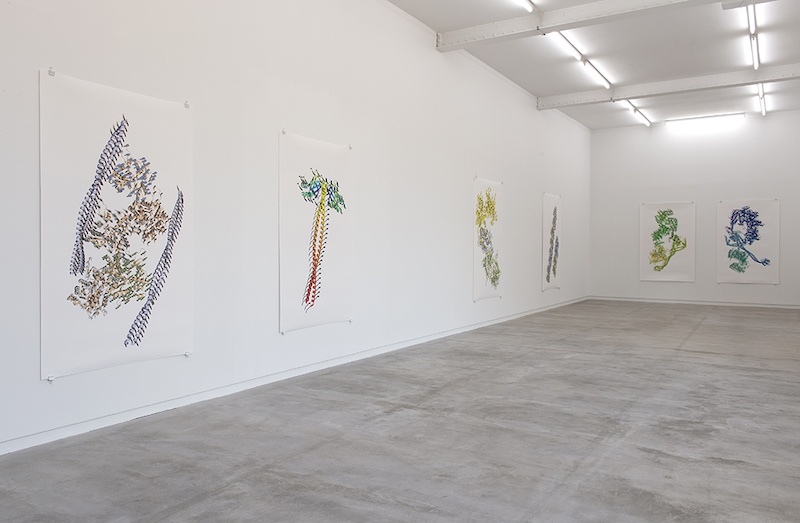 Vue de l’exposition personnelle de Ran Zhang « Resolution of Traits » à l’Ahah #griset du 25 janvier au 28 mars 2020 ©Ran Zhang