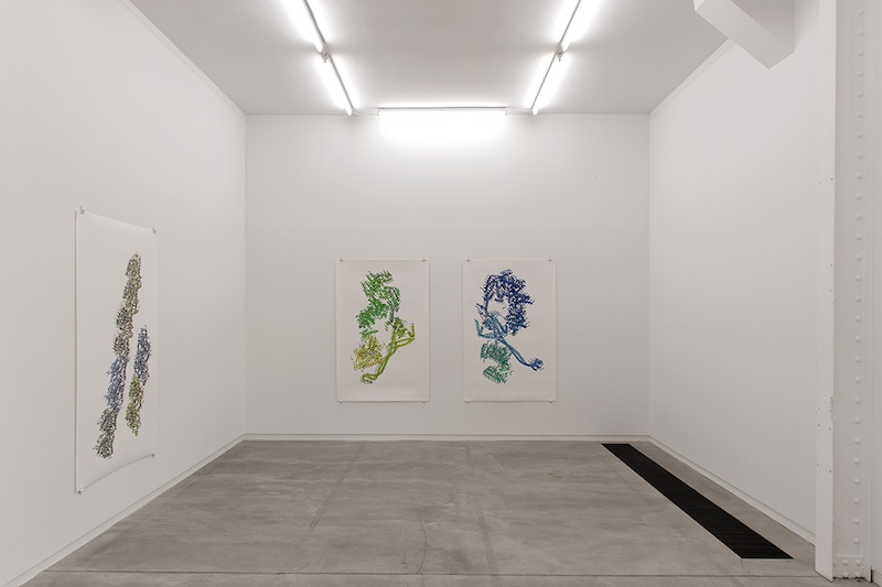 Vue de l’exposition personnelle de Ran Zhang « Resolution of Traits » à l’Ahah #griset du 25 janvier au 28 mars 2020 ©Ran Zhang