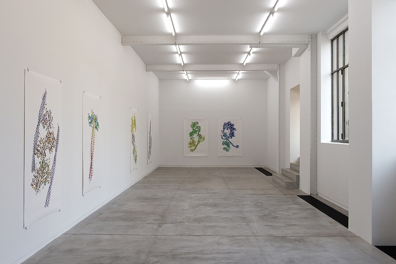 Vue de l’exposition personnelle de Ran Zhang « Resolution of Traits » à l’Ahah #griset du 25 janvier au 28 mars 2020 © Marc Domage/L’ahah