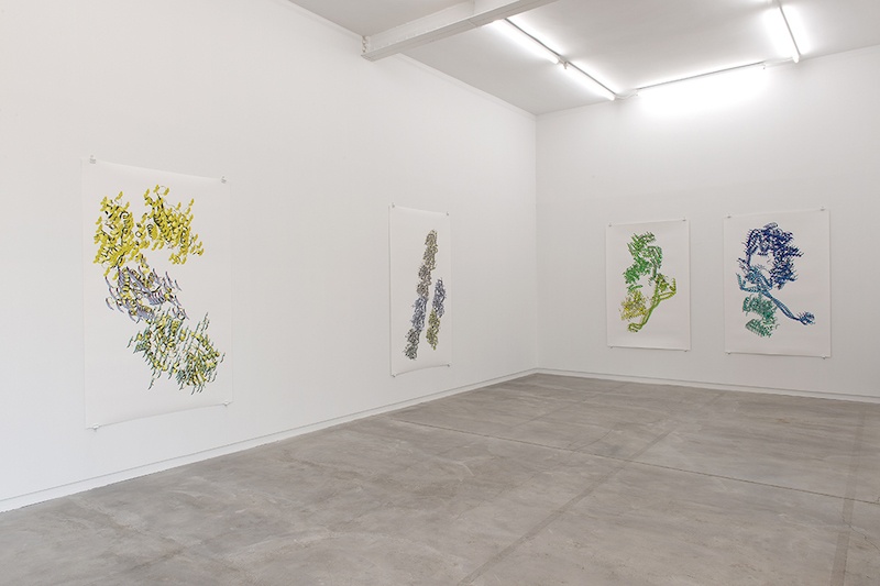 Vue de l’exposition personnelle de Ran Zhang « Resolution of Traits » à l’Ahah #griset du 25 janvier au 28 mars 2020 ©Ran Zhang