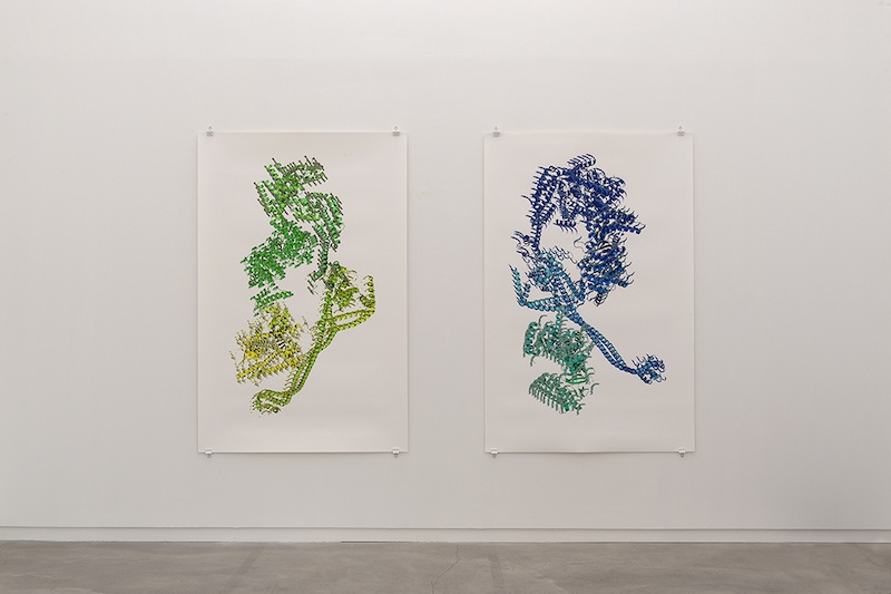Vue de l’exposition personnelle de Ran Zhang « Resolution of Traits » à l’Ahah #griset du 25 janvier au 28 mars 2020 © Marc Domage/L’ahah