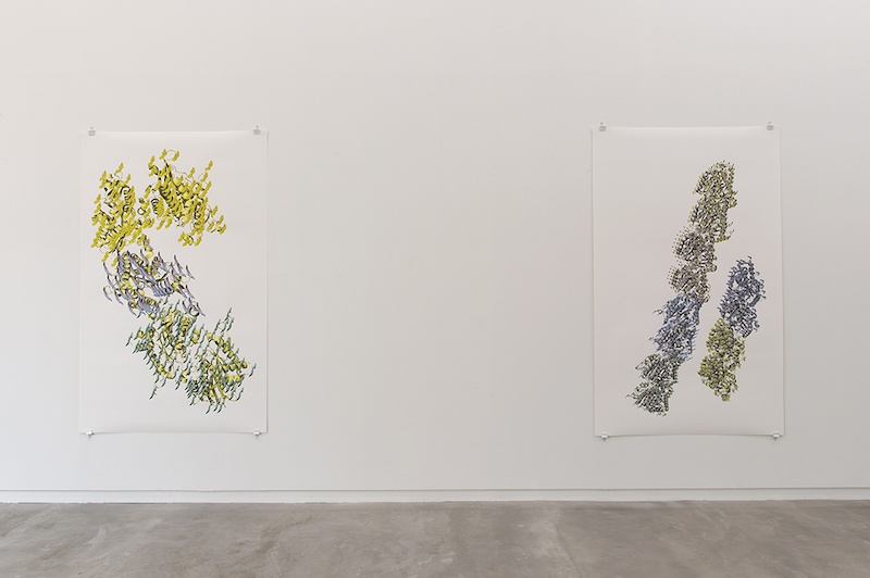 Vue de l’exposition personnelle de Ran Zhang « Resolution of Traits » à l’Ahah #griset du 25 janvier au 28 mars 2020 ©Ran Zhang
