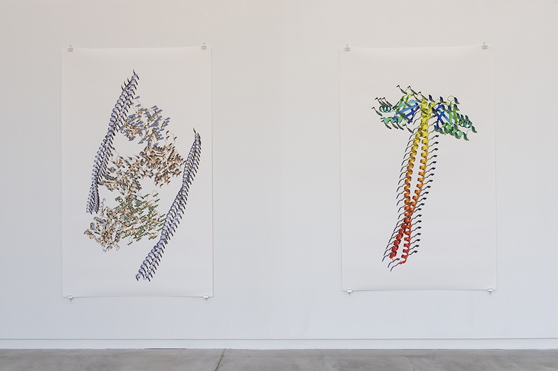 Vue de l’exposition personnelle de Ran Zhang « Resolution of Traits » à l’Ahah #griset du 25 janvier au 28 mars 2020 © Marc Domage/L’ahah