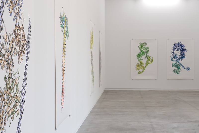 Vue de l’exposition personnelle de Ran Zhang « Resolution of Traits » à l’Ahah #griset du 25 janvier au 28 mars 2020 ©Ran Zhang