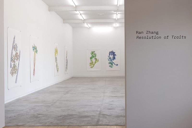 Vue de l’exposition personnelle de Ran Zhang « Resolution of Traits » à l’Ahah #griset du 25 janvier au 28 mars 2020 ©Ran Zhang