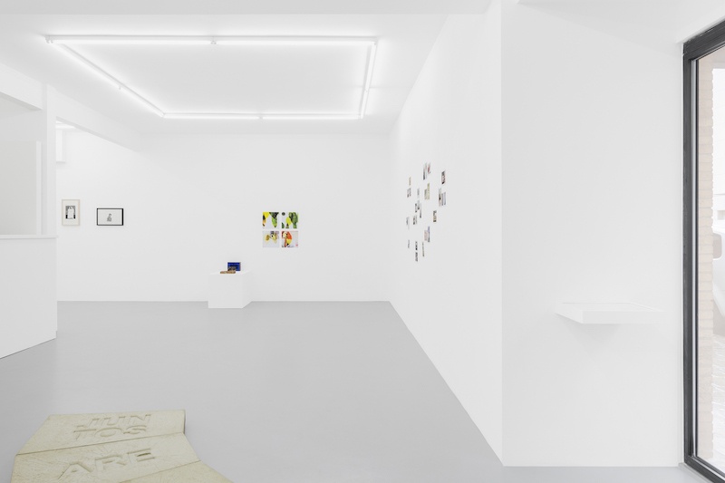 Vue d'exposition Resilience, an aptitude, Irène Laub Gallery Brussels