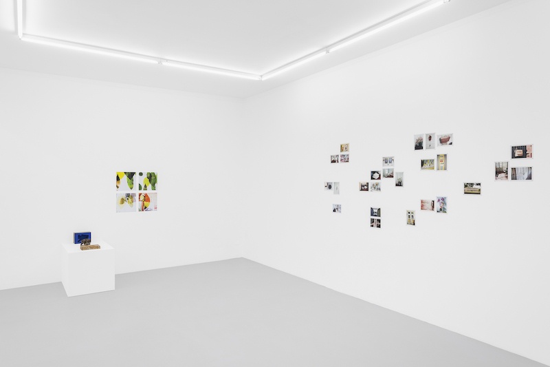 Vue d'exposition Resilience, an aptitude, Irène Laub Gallery Brussels Courtesy Irène Laub Gallery, photo Hugard and Vanoverschelde