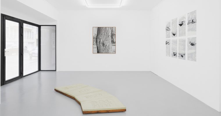 RESILIENCE, AN APTITUDE, IRENE LAUB GALLERY BRUSSELS