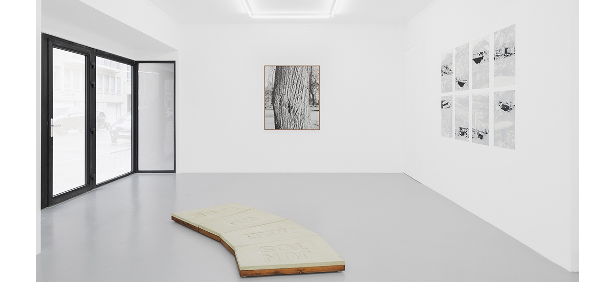 RESILIENCE, AN APTITUDE, IRENE LAUB GALLERY BRUSSELS