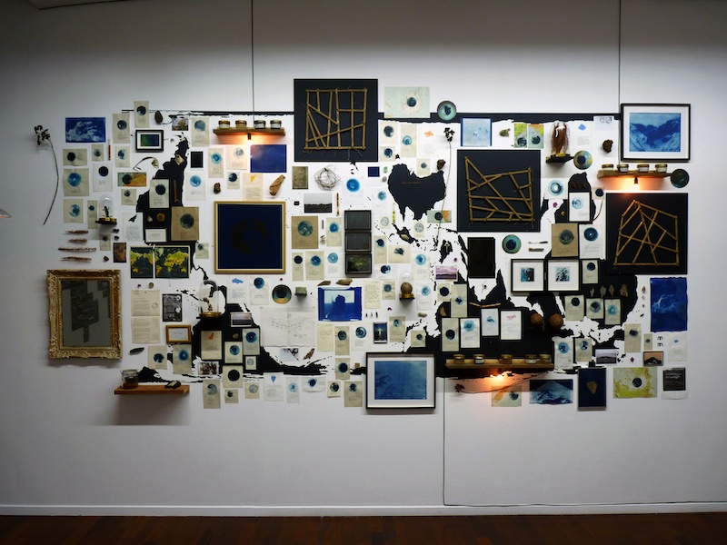 Aurélien Mauplot, Composition naturaliste Carnet des pensées lestes #1 500 x 220 cm Env. 300 éléments. 2019 (Les arts au mur, artorhèque, Pessac)