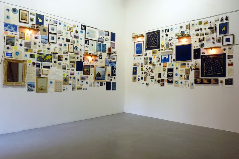 Aurélien Mauplot, Composition naturaliste Carnet des pensées lestes #3 2x L450 x H220 cm Env. 450 éléments 2019 (La ligne Bleue, Carsac-Aillac, 24)