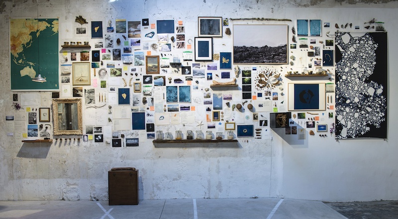 Aurélien Mauplot, Composition naturaliste #2 700 x 220 cm Env. 250 éléments 2019 (Topographie de l’art, Paris)