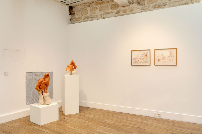 Vue de l'exposition So close jusqu'au 08 juillet 2020 Galerie Guido Romero Pierini - Michael Timsit Paris