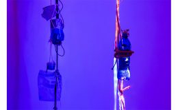 Damien Fragnon – Les multiplicités des mondes