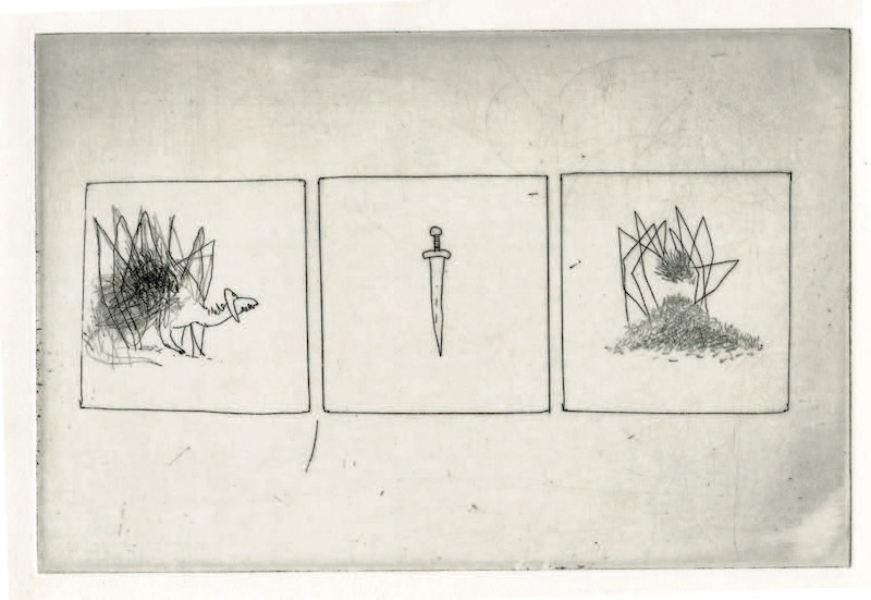 Frédéric Coché, Brünnhilde, planche n° 21, 1/5, 27 x 38 cm