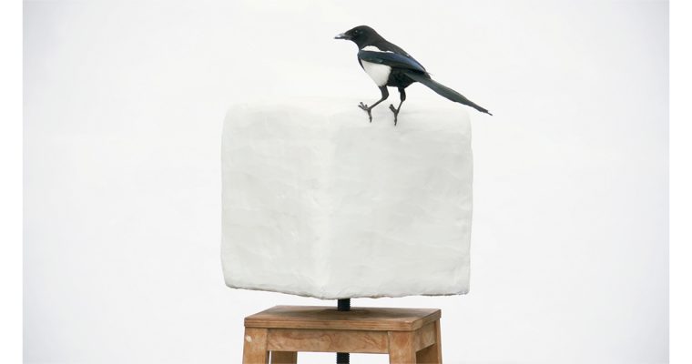 BENJAMIN MOULY, FOR THE BIRDS