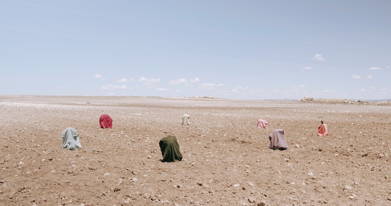 Benjamin Mouly, For the Birds, 2020