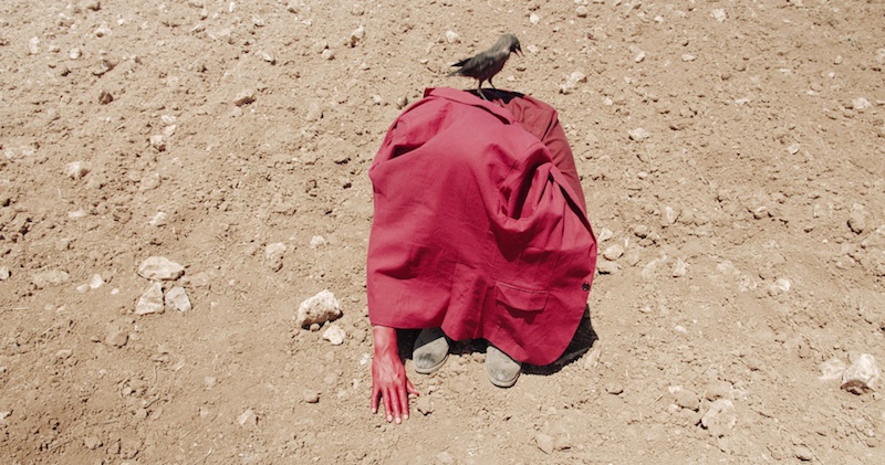 Benjamin Mouly, For the Birds, 2020