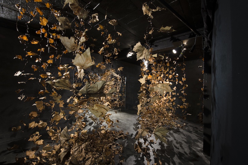 Vue de l'exposition MAGIE VERTE jusqu'au 31 octobre à l'Espace 29 Bordeaux © Wang Yiyang