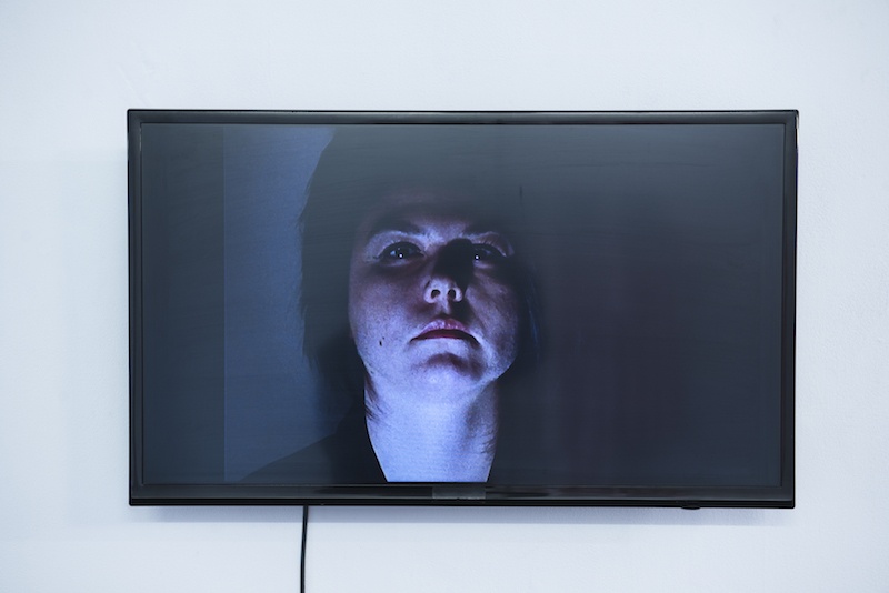 Vue de l'exposition MAGIE VERTE jusqu'au 31 octobre à l'Espace 29 Bordeaux © Wang Yiyang